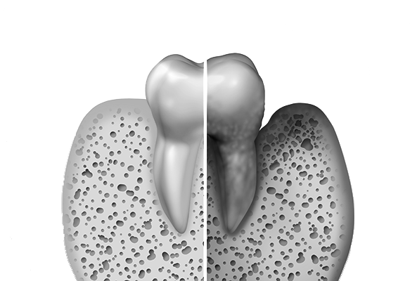 Пародонтология